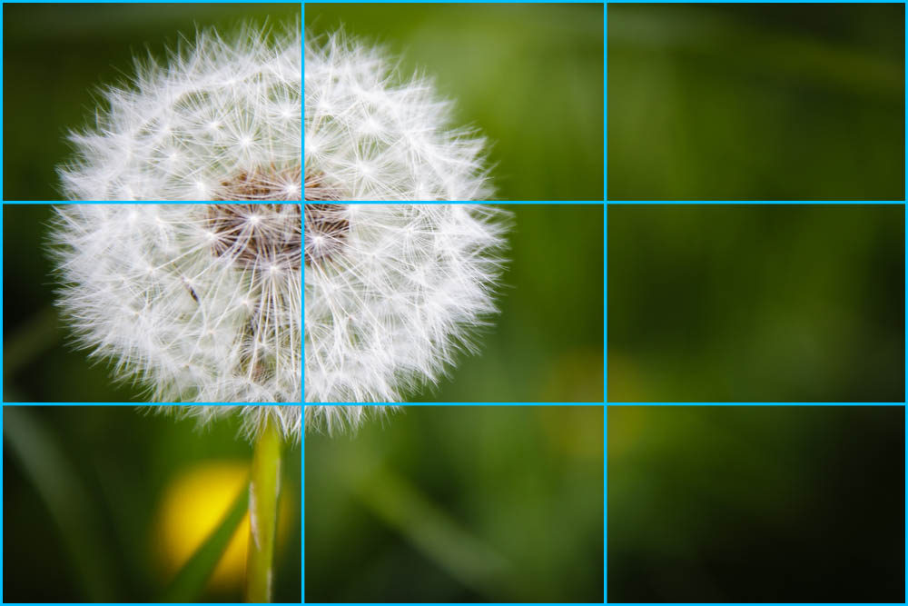 Seis Ideas Para La Composición Fotográfica Apertura 